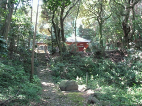 画像17